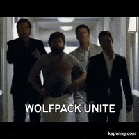 GIF by Mr Wolf Nightclub