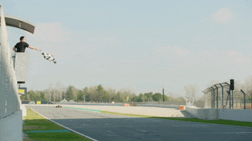 redbullracing 2019 f1 mv driver GIF