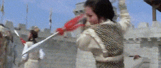 martial arts fight GIF by Shaw Brothers