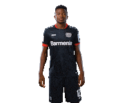 Bayer 04 Goal Sticker by Bayer 04 Leverkusen