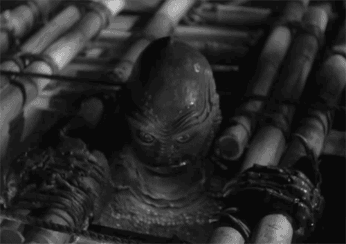 dont ask why creature from the black lagoon GIF by hoppip