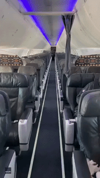 First-Class Pup: Pooch Passenger Improves Flight Attendant’s Nearly Empty Flight to Newark