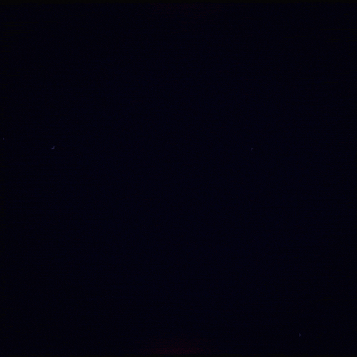 warning red alert GIF by Erica Anderson