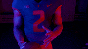 Illinois Football GIF by Fighting Illini Athletics