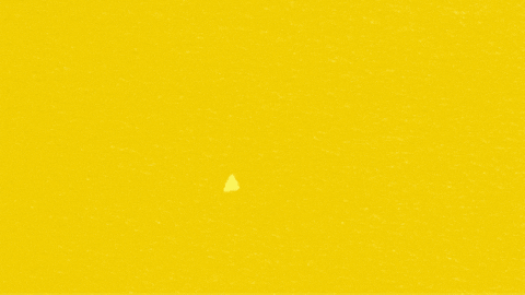 Limonce giphygifmaker GIF