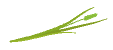 Green Grass Loop Sticker
