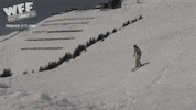 GIF by World’s Funniest