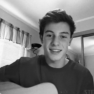 shawn mendes h GIF