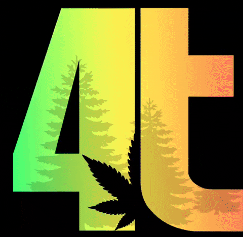 Art Illustration GIF by 4Trees