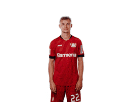 Bayer 04 Peace GIF by Bayer 04 Leverkusen