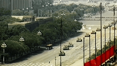 people today GIF