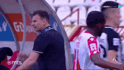 Partizan GIF by sportmts