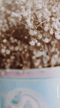 saollebar aesthetic saollebar bensa sa ollebar GIF