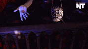 guillermo del toro art GIF by NowThis 