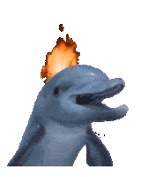 HOLZPILOTEN holz delfin brennender delfin holzpilotne Sticker