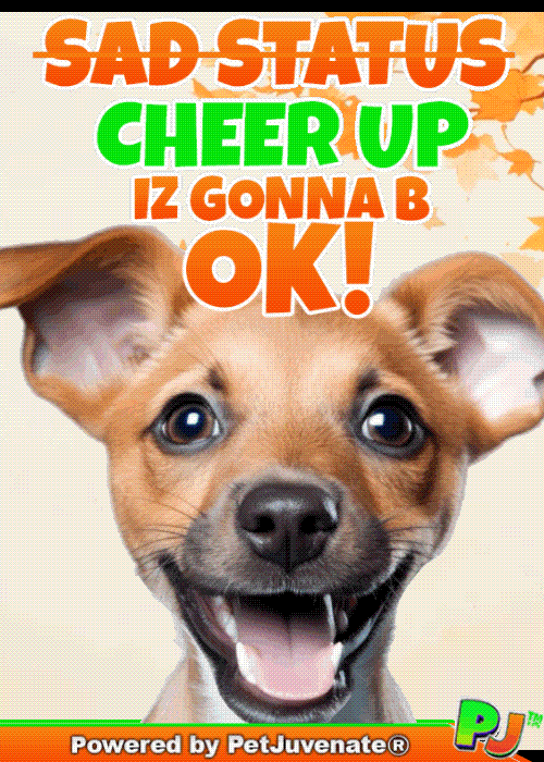 PetJuvenate henlo hooman fren love rescue dogs treatos and woofer for pupper hip and joint mobility chews supplements GIF