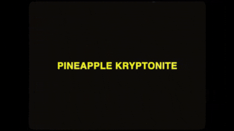 California Desert GIF by ATARASHII GAKKO!