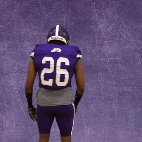 Football Wesleyan GIF by KWC Panthers