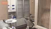 surprised GIF by cerecdoctors
