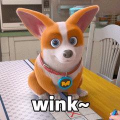 mocoaifay animation dog cartoon corgi GIF
