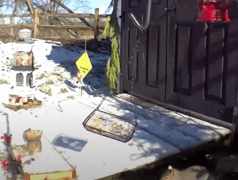 Venedas giphyupload GIF