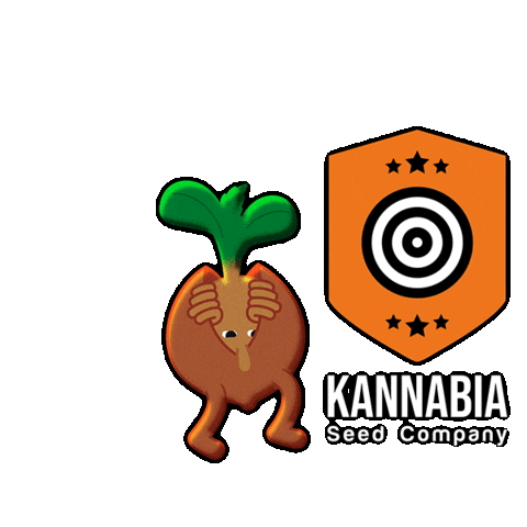 KannabiaSeeds giphyupload growing seeds kannabia Sticker