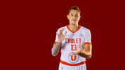 Jeep Elite Sport GIF by Cholet Basket