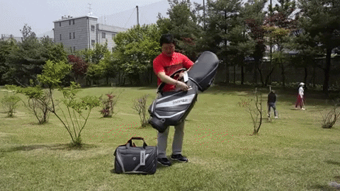 majorworld giphygifmaker GIF