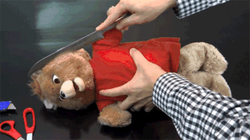 teddy GIF