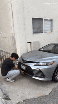 Trending Vibe GIF by Darwin