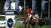 jumping steve guerdat GIF by FEI Global