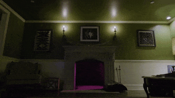 meowwolf glitch meow wolf meowwolf meow wolf santa fe GIF