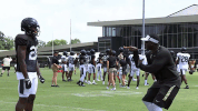 Jeffbrohm Boilerfootball GIF by Purdue Sports
