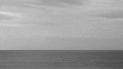 black and white loop GIF by A. L. Crego
