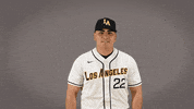 Cal State La Baseball GIF by Cal State LA Golden Eagles