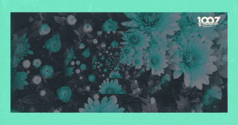 Grupo1007 giphygifmaker GIF