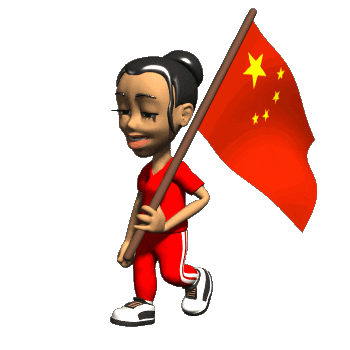 china STICKER