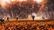 France Fire GIF by systaime