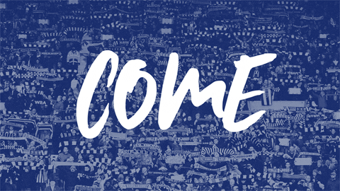 goal wba GIF by West Bromwich Albion