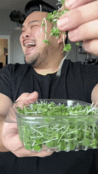 Asian Salad GIF