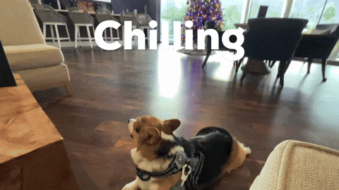 Chilling GIF