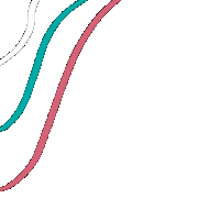 Usd Sticker by Union Southampton Dance