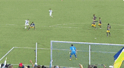gyasi zardes soccer GIF by LA Galaxy