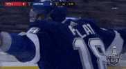 happy ice hockey GIF by NHL