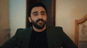 Kızılcık Şerbeti GIF by Show TV