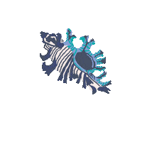 Shell Seashell Sticker by Kyte Baby