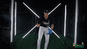 Cristian Sanchez Tulane GIF by GreenWave