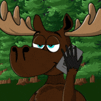 DoYouMoose bitcoin ethereum web3 stocks GIF
