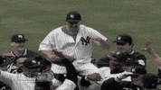 new york yankees baseball GIF by MLB