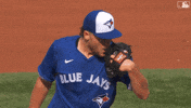 Blue Jays Baseball GIF by Toronto Blue Jays